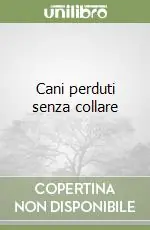 Occasione Cani perduti senza collare
