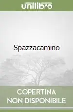 Compra Oggi Stesso Spazzacamino