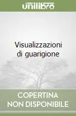 Pagamento Sicuro Visualizzazioni di guarigione