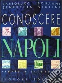 Solo Oggi Conoscere Napoli. Storia e itinerari