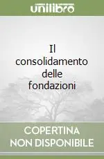 Professionale Il consolidamento delle fondazioni