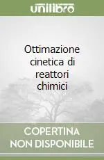 Ottimazione cinetica di reattori chimici Professionale