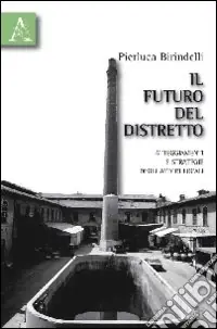 Esclusivo Il futuro del distretto. Atteggiamenti e strategie degli attori locali