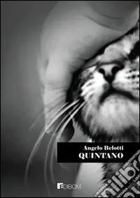 Quintano 11 Must-Have