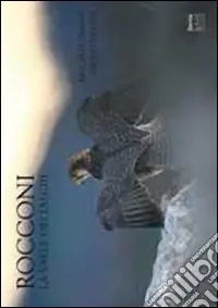 Rocconi. La valle dei falchi Must-Have
