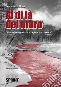 Al di là del muro Professionale