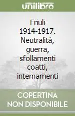Compra Adesso Friuli 1914-1917. Neutralità, guerra, sfollamenti coatti, internamenti