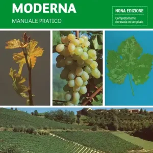 Solo Oggi Viticoltura moderna