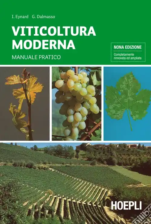 Solo Oggi Viticoltura moderna