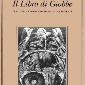 Il libro di Giobbe Ultimissimo Modello
