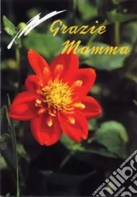 Spedito Oggi Grazie mamma