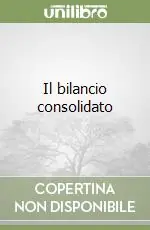 Il bilancio consolidato Pagamento Sicuro