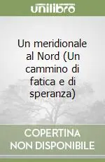 Occasione Un meridionale al Nord (Un cammino di fatica e di speranza)