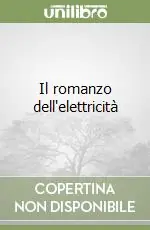 Affare Il romanzo dell‘elettricità