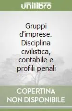Di Tendenza Gruppi d‘imprese. Disciplina civilistica, contabile e profili penali
