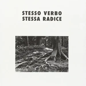 Stesso verbo stessa radice Prezzo Scontato