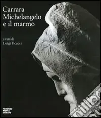 Carrara. Michelangelo e il marmo. Ediz. illustrata Ultime Pezzi