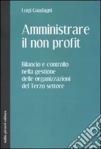 Subito Disponibile Amministrare il non profit. Bilancio e controllo nella gestione delle organizzazioni del terzo settore