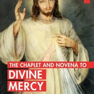 The Chaplet and novena to divine mercy Ultime Pezzi