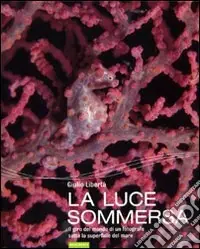 Più Venduto La luce sommersa. Il giro del mondo di un fotografo sotto la superficie del mare. Ediz. illustrata