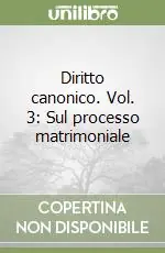 Diritto canonico. Vol. 3 Sul processo matrimoniale Bestseller