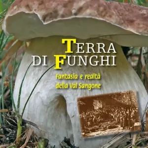 Spedito Oggi Terra di funghi. Fantasia e realtà della Val Sangone