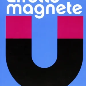 Effetto magnete. Un laboratorio per l‘ambito metropolitano della euroregione Compra Online