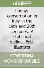 Energy consumption in italy in the 19th and 20th centuries. A statistical outline. Ediz. illustrata Offerta Speciale