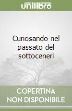 Curiosando nel passato del sottoceneri Direttamente Dal Produttore