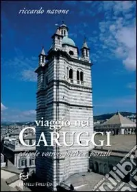 Prezzo Ridotto Viaggio nei caruggi. Edicole votive, pietre e portali. Ediz. illustrata