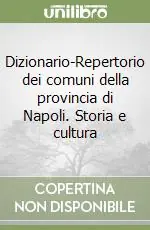 Dizionario-Repertorio dei comuni della provincia di Napoli. Storia e cultura Popolare