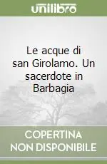 Occasione Le acque di san Girolamo. Un sacerdote in Barbagia