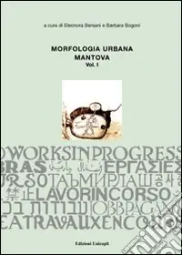 Non Perdere Morfologia urbana. Ediz. illustrata. Vol. 1 Mantova
