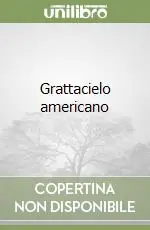 Grattacielo americano Super Prezzo