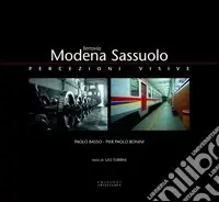 Nuovo Arrivo Ferrovia Modena-Sassuolo. Percezioni visive