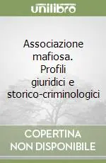 Pagamento Sicuro Associazione mafiosa. Profili giuridici e storico-criminologici