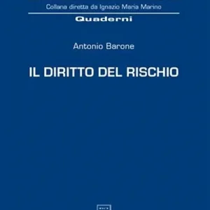 Il diritto del rischio Prezzo Scontato