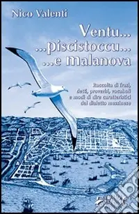 Saldi Ventu... piscistoccu... e Malanova. Raccolta di frasi, detti, proverbi, vocaboli e modi di dire caratteristici del dialetto messinese