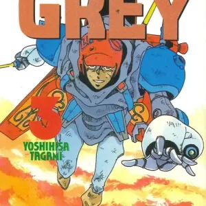 Spedito Oggi Grey. Vol. 3