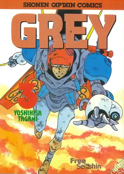Spedito Oggi Grey. Vol. 3