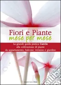 Super Prezzo Fiori e piante mese per mese