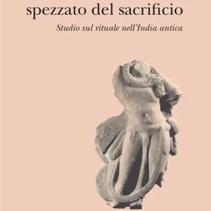 Offerta Lampo Il mondo spezzato del sacrificio. Studio sul rituale nell‘India antica