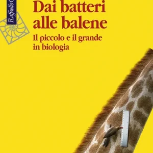 Dai batteri alle balene. Il piccolo e il grande in biologia. Ediz. illustrata Prezzo Basso