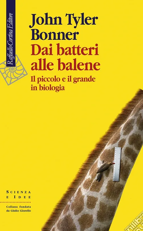 Dai batteri alle balene. Il piccolo e il grande in biologia. Ediz. illustrata Prezzo Basso