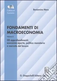 Fondamenti di macroeconomia. Vol. 2 Gli approfondimenti economia aperta, politica monetaria, mercato del lavoro Reso Gratuito