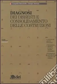 Professionale Diagnosi dei dissesti e consolidamento delle costruzioni