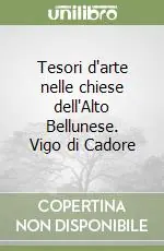 Tesori d‘arte nelle chiese dell‘Alto Bellunese. Vigo di Cadore Professionale