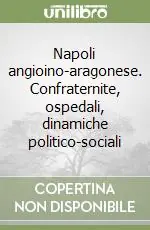Napoli angioino-aragonese. Confraternite, ospedali, dinamiche politico-sociali Non Perdere