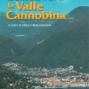 Prezzo Di Fabbrica Medici e medicina nell‘età del Risorgimento sul Lago Maggiore