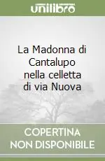 La Madonna di Cantalupo nella celletta di via Nuova Economico